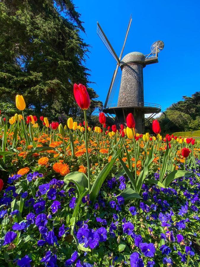 Golden Gate Park Suite سان فرانسيسكو المظهر الخارجي الصورة