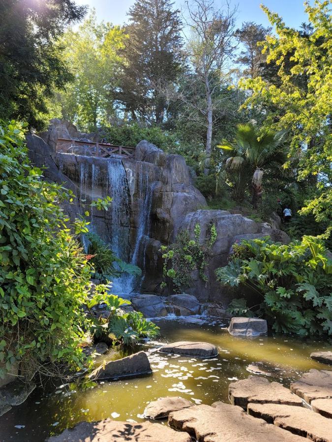 Golden Gate Park Suite سان فرانسيسكو المظهر الخارجي الصورة
